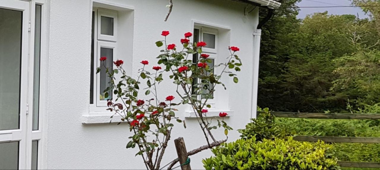 Lakeside House Oughterard Eksteriør bilde